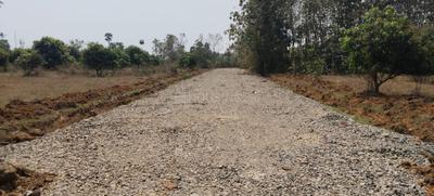 Project Image of 2700.0 - 5643.0 Sq.ft Residential Plot Plot for buy in Pratap Green Fields