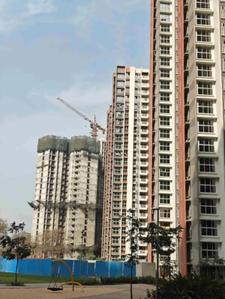 Project Image of 441.0 - 751.54 Sq.ft 1 BHK Apartment for buy in Lodha Foresta A B H And I