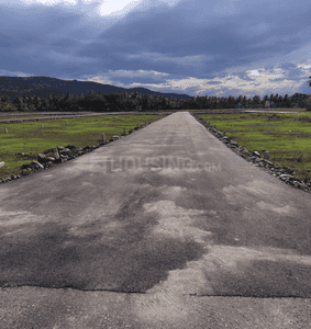 Project Images