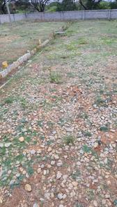 Project Image of 1000.0 - 1200.0 Sq.ft Residential Plot Plot for buy in Indus Enclave