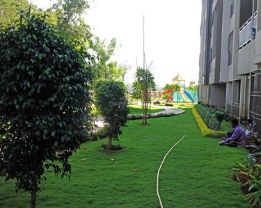 Project Image of 373.83 - 616.66 Sq.ft 1 BHK Apartment for buy in Grow Riverside Greens