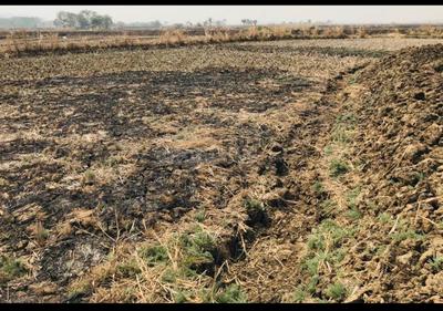 Icon Ranjanpada Lands Plot 1