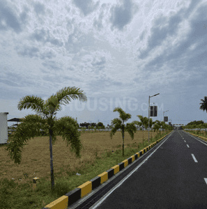 Project Images