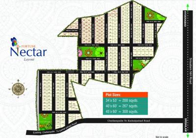 Fortune Nector Master Plan 1