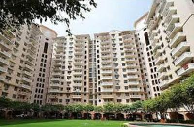 DLF Regency Park Elevation 3