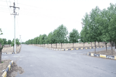 Project Image of 1620.0 - 1800.0 Sq.ft Residential Plot Plot for buy in Lighthouse Pharma Green City
