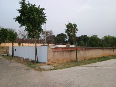 Project Image of 1000.0 - 1800.0 Sq.ft Residential Plot Plot for buy in Akshansh Enclave Phase 2