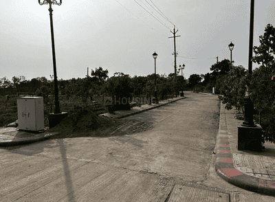 Project Images