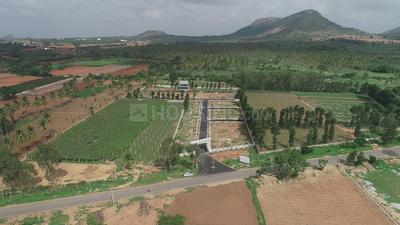 Project Image of 1200.0 - 2400.0 Sq.ft Residential Plot Plot for buy in Millennia Montagna
