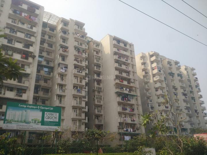 Express Greens - Image 4