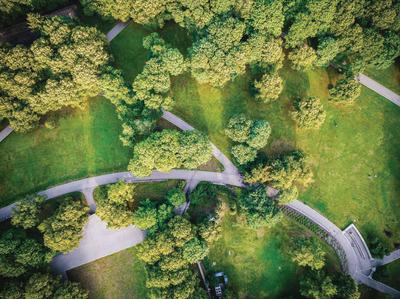 Project Image of 1500.0 - 3000.0 Sq.ft Residential Plot Plot for buy in Wallfort Mangalam City