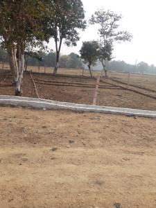 Project Image of 1587 Sq.ft Residential Plot / Land for sale in Tikari for Rs. 2500000