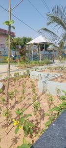 Image of 900 Sq.ft Residential Plot / Land for sale in Vaishali Nagar, Jaipur for Rs. 3395000