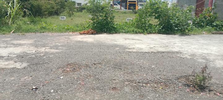 Satyamangala Main Image 1