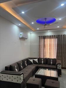 Hall Image of 1800 Sq.ft 3 BHK Builder Floor for rent in Gmada Aerocity Mohali for Rs. 40000