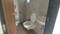 Raunak Bliss Bathroom One 1