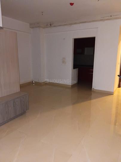 ACE Divino Main Image 1