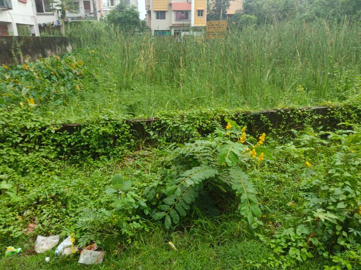 Bikash Guha Colony, Nayabad Main Image 1