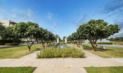 Residential Plot
