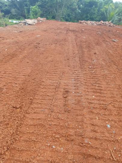 Pukkattupady Main Image 1