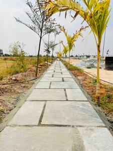 Residential Plot