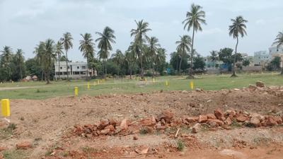 Charans Signature Plot View 2