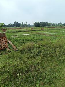 Nigoha Plot View 1