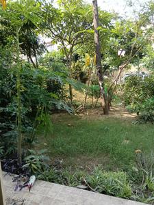 Image of 2185 Sq.ft 3 BHK Independent House for rent in Paramount Golfforeste Villas, Surajpur, Greater Noida for Rs. 35000