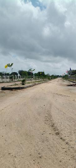 Dhankya Main Image 1