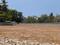 Madanapuram Plot View 2