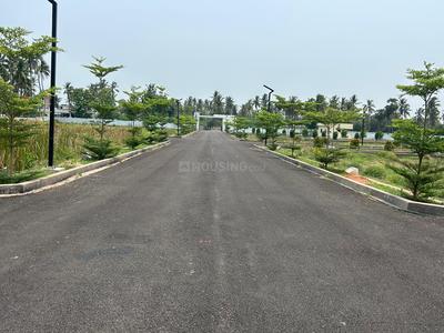 Thagarapuvalasa Plot View 1