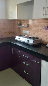 Kitchen Image of 1377 Sq.ft 3 BHK Apartment / Flat for rent in Aditya World City Ghaziabad for Rs. 17000