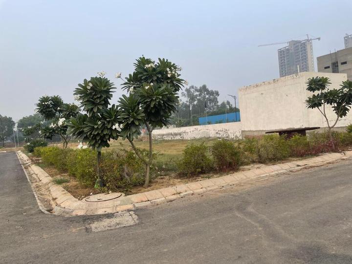 embassy oxygen business park sector 144 Main Image 1