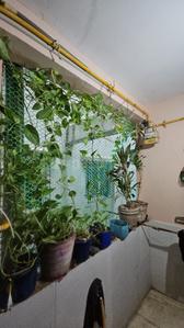 Balcony Image of 1100 Sq.ft 2 BHK Apartment / Flat for sale in Police Line Jamnagar for Rs. 4500000