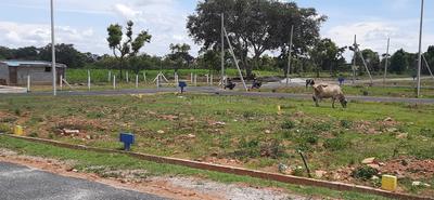 Residential Plot