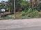 Ramkrishnapally Main Image 1