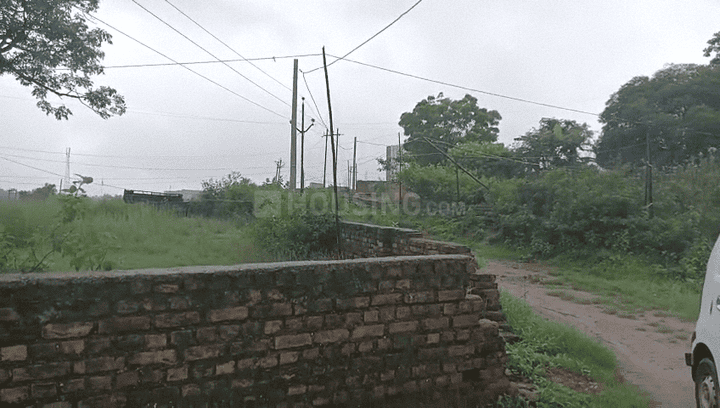 Simaliya Main Image 1