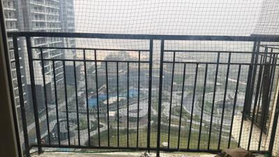 Kitchen Image of 1020 Sq.ft 2 BHK Apartment / Flat for rent in Gulshan Botnia, Sector 144 Noida for Rs. 34000