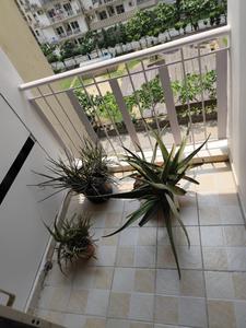 Balcony Image of 1155 Sq.ft 2.5 BHK Apartment / Flat for sale in Fusion Homes, Noida Extension Greater Noida for Rs. 9800000
