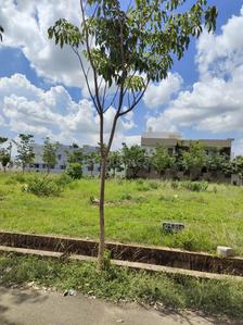 Image of 200 Sq.ft Residential Plot / Land for sale in KVR Estate, Sarika, Vizianagaram for Rs. 4500000