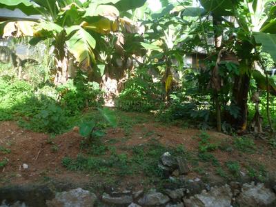 Image of 1600 Sq.ft 4 BHK Independent House for sale in Peroorkada, Thiruvananthapuram for Rs. 6500000