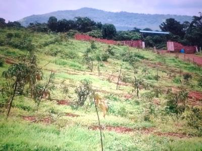 Image of 1089 Sq.ft Residential Plot / Land for sale in Pen, Raigad for Rs. 255000
