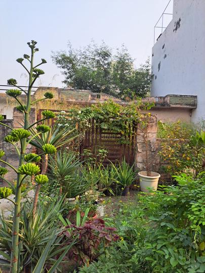 Jaypee Kensington Park Plot 1 Main Image 1