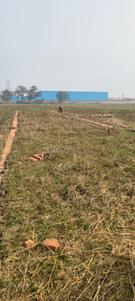Image of 1482 Sq.ft Residential Plot / Land for sale in Chandoli, Varanasi for Rs. 2100000