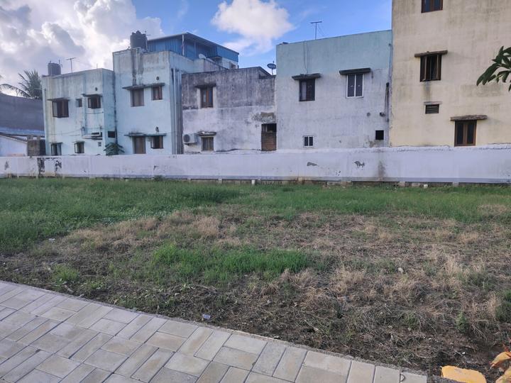 rld royal star Main Image 1