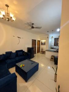 Hall Image of 835 Sq.ft 2 BHK Apartment / Flat for rent in Gillco Palms, Sector 115 Mohali for Rs. 24000