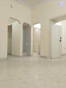Hall Image of 650 Sq.ft 2 BHK Apartment / Flat for rent in BTM Layout Bengaluru for Rs. 23000