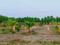 Nenmeli, Chengalpattu Main Image 1