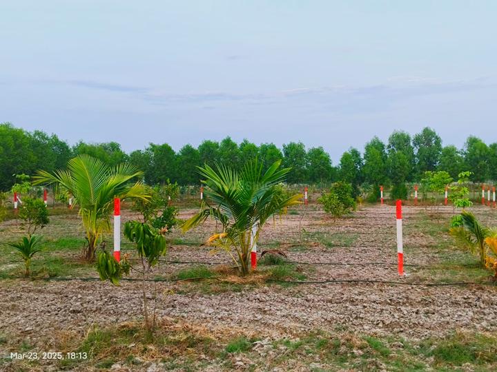 Madurantakam Main Image 1