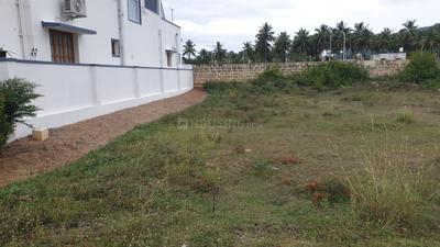 Karamadai More Images 1